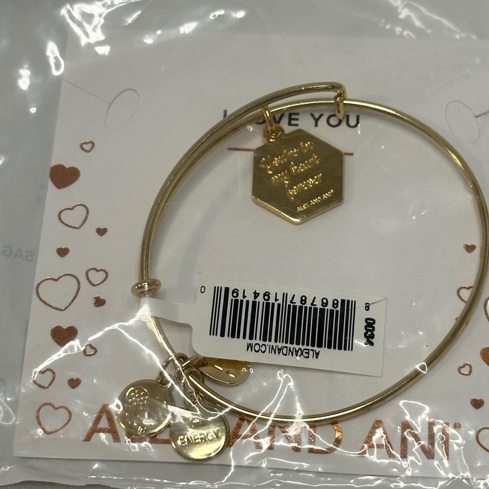 Alex and Ani Stepmom Gold Charm Bangle Bracelet